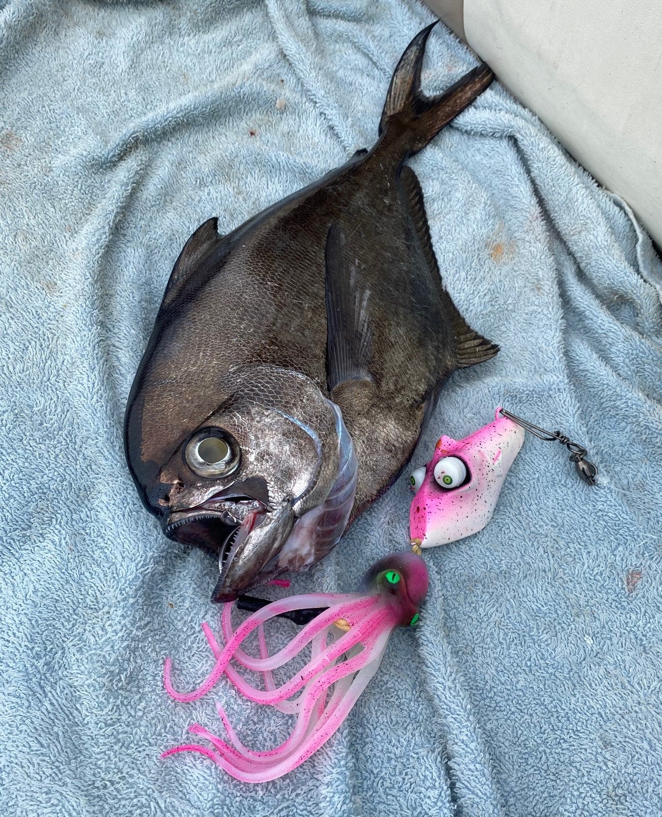 Deep Drop Lure Glowbite Crazy Eyes - Pink – Fishing Innovators